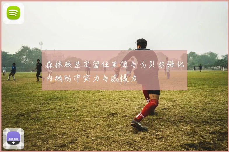森林狼坚定留住里德与戈贝尔强化内线防守实力与威慑力